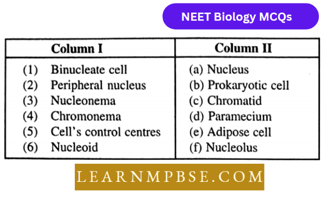 Cell Unit Of Life Structural Organization MCQs Match The Column 208
