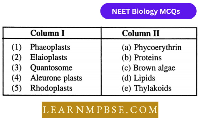 Cell Unit Of Life Structural Organization MCQs Match The Column 209