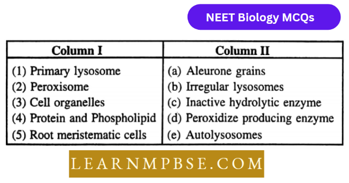 Cell Unit Of Life Structural Organization MCQs Match The Column 210