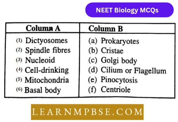 Cell Unit Of Life Structural Organization MCQs Match The Column 211