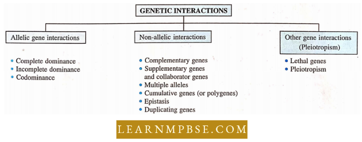 Electron Of Heredity And Variations Genetic Interations
