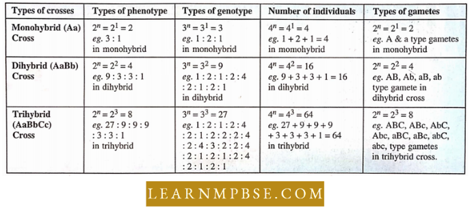 Electron Of Heredity And Variations Parasexual Hybridisation