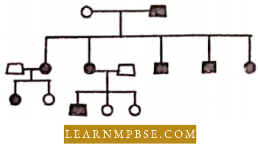 Electron Of Heredity And Variations Pedigree The Genotypes