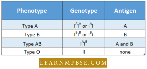 Electron Of Heredity And Variations Showing Phemotype Genotype And Antigen
