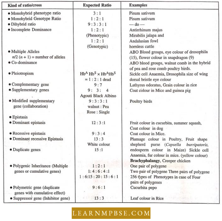 Electron Of Heredity And Variations Some Important Ratios