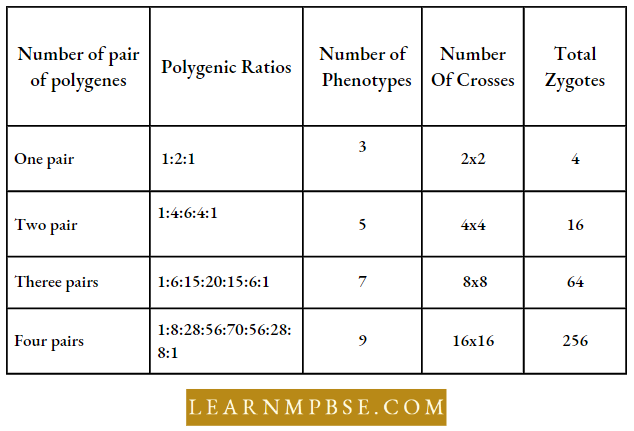 Electron Of Heredity And Variations Some Ratios Of Polygenic Inheritance