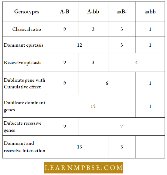 Electron Of Heredity And Variations Summary Of Epistatic Ratios