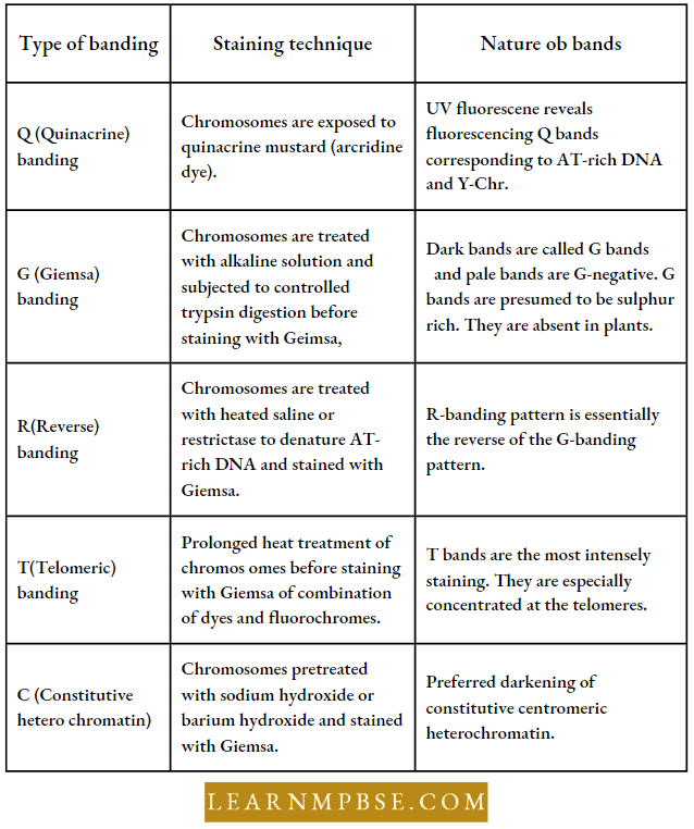Electron Of Heredity And Variations There Are Different Types Of Stains And Staining Techniques