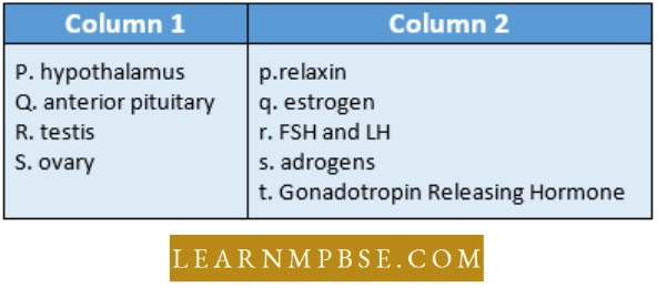Endocrine System Column 1 List The Endocrine Structure And Column 2 Lists The Corresponding Hormones Question 52