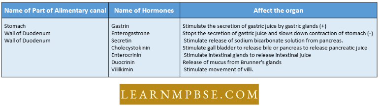 Endocrine System Hormones Secreted By Wall Of Alimentary Canal