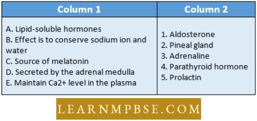 Endocrine System Match The Definition Question 186.