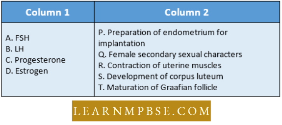 Endocrine System Match The Hormone Question 12