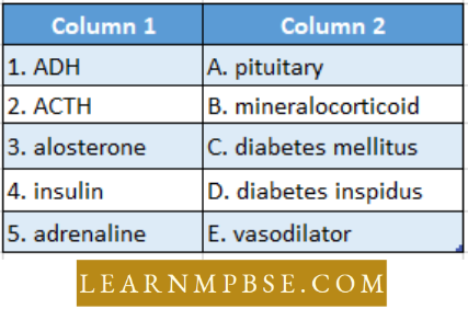Endocrine System Match The Item Column 1 With Column 2 Question 35