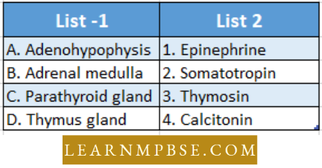 Endocrine System Match The List 1 And List 2 Question 37
