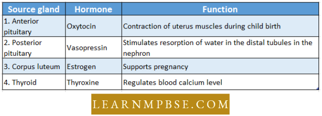Endocrine System Match The Source Gland Question 63