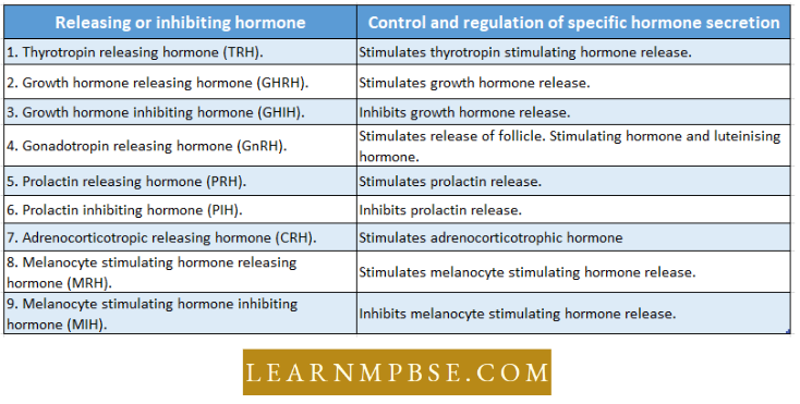 Endocrine System Regulation Of Secretion Of Pituitary Body