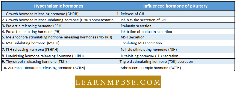 Endocrine System Various Releasing And inhibiting Hormones