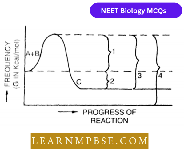 Enzymes MCQs Question 53