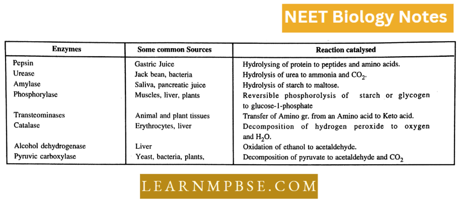 Enzymes Some Representative Enzymes Their Sources and reaction specified