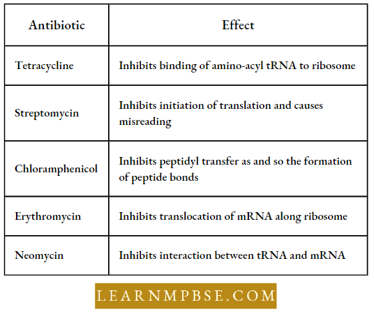 Gene Expression And Gene Regulation Inhibitors Of Bacterial Protein Synthesis
