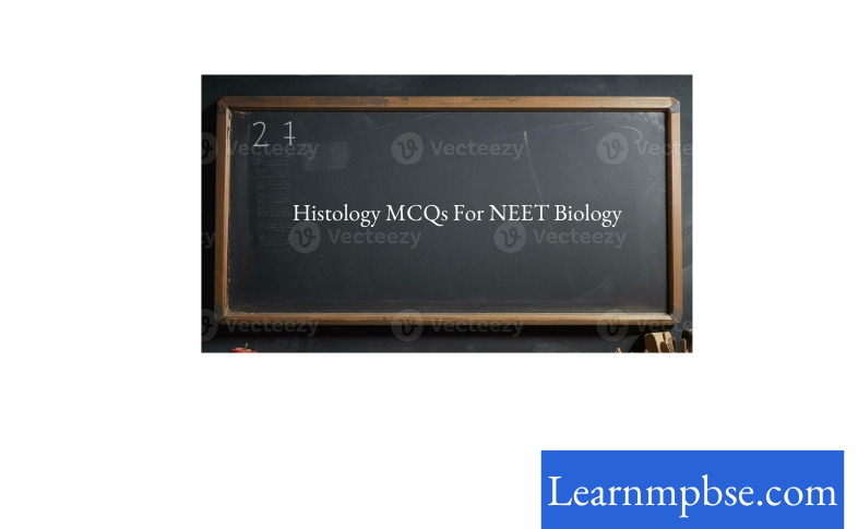 Histology MCQs For NEET Biology