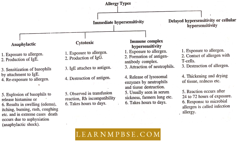 Human Health And Common Human Diseases Allergy Types