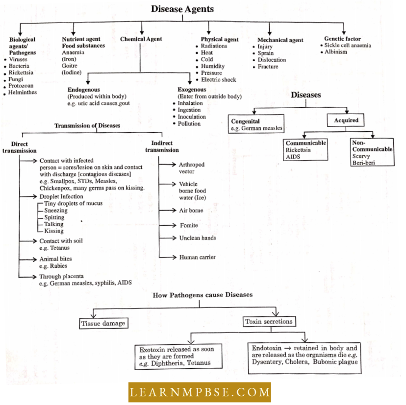 Human Health And Common Human Diseases Disease Agents