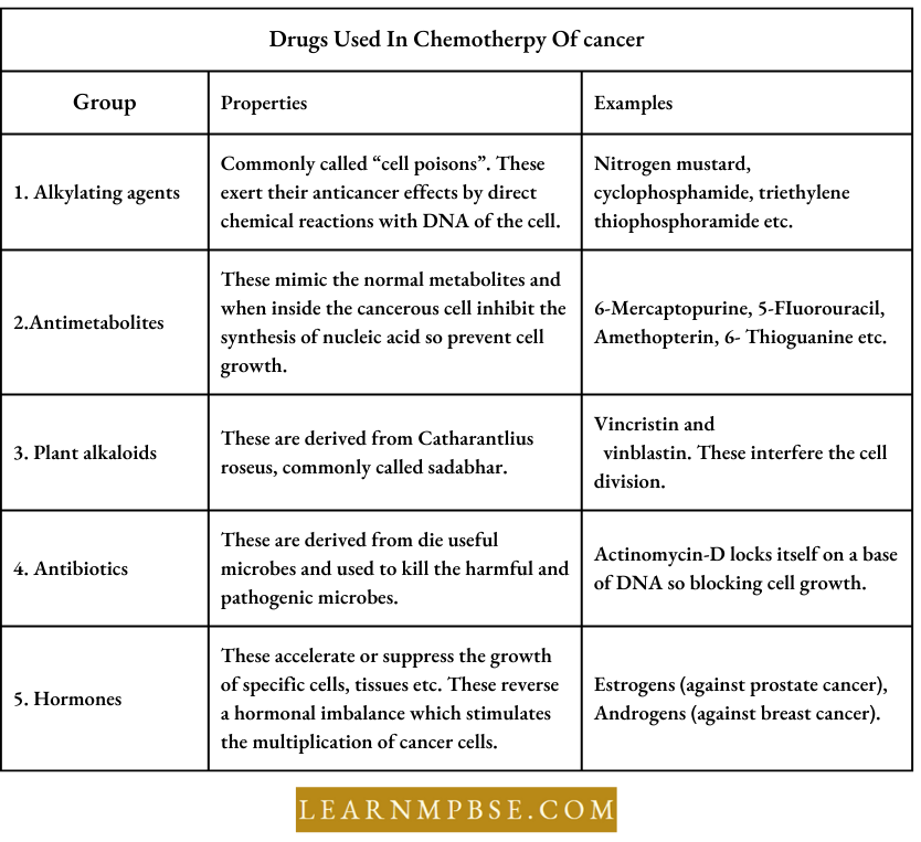 Human Health And Common Human Diseases Drugs Used In Chemotherphy Of Cancer
