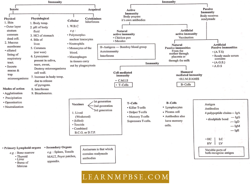 Human Health And Common Human Diseases Immunity