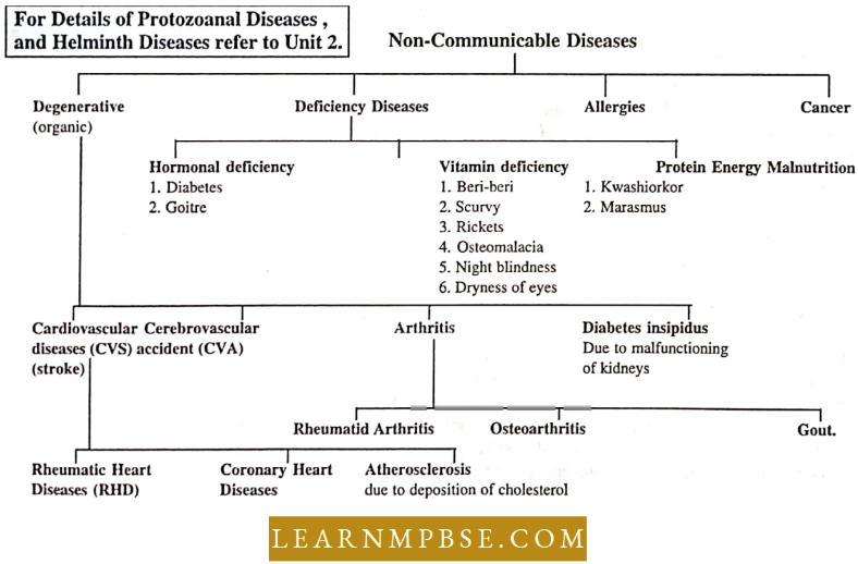 Human Health And Common Human Diseases Non Communicable Diseases