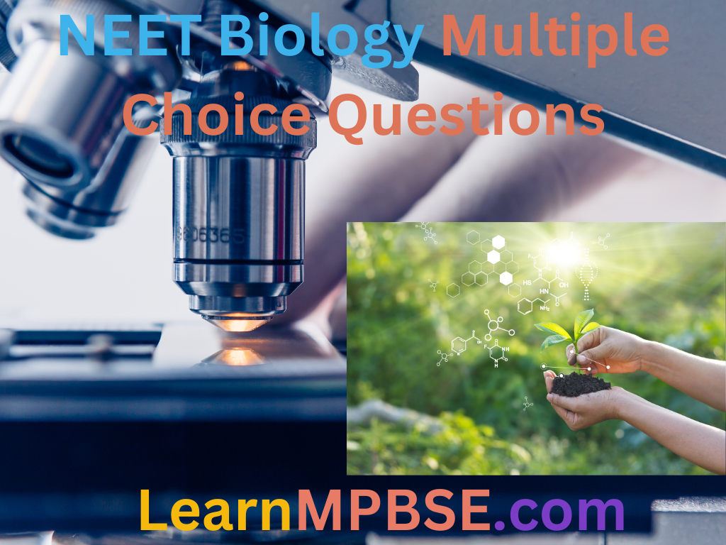 NEET Biology Multiple Choice Questions
