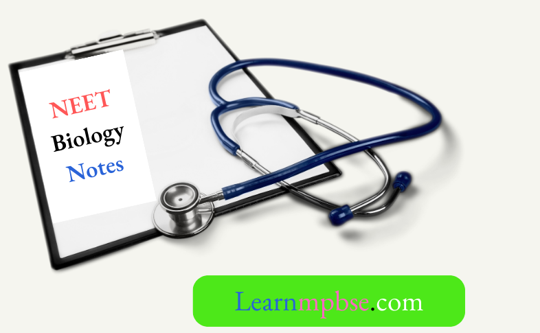 NEET Biology Notes
