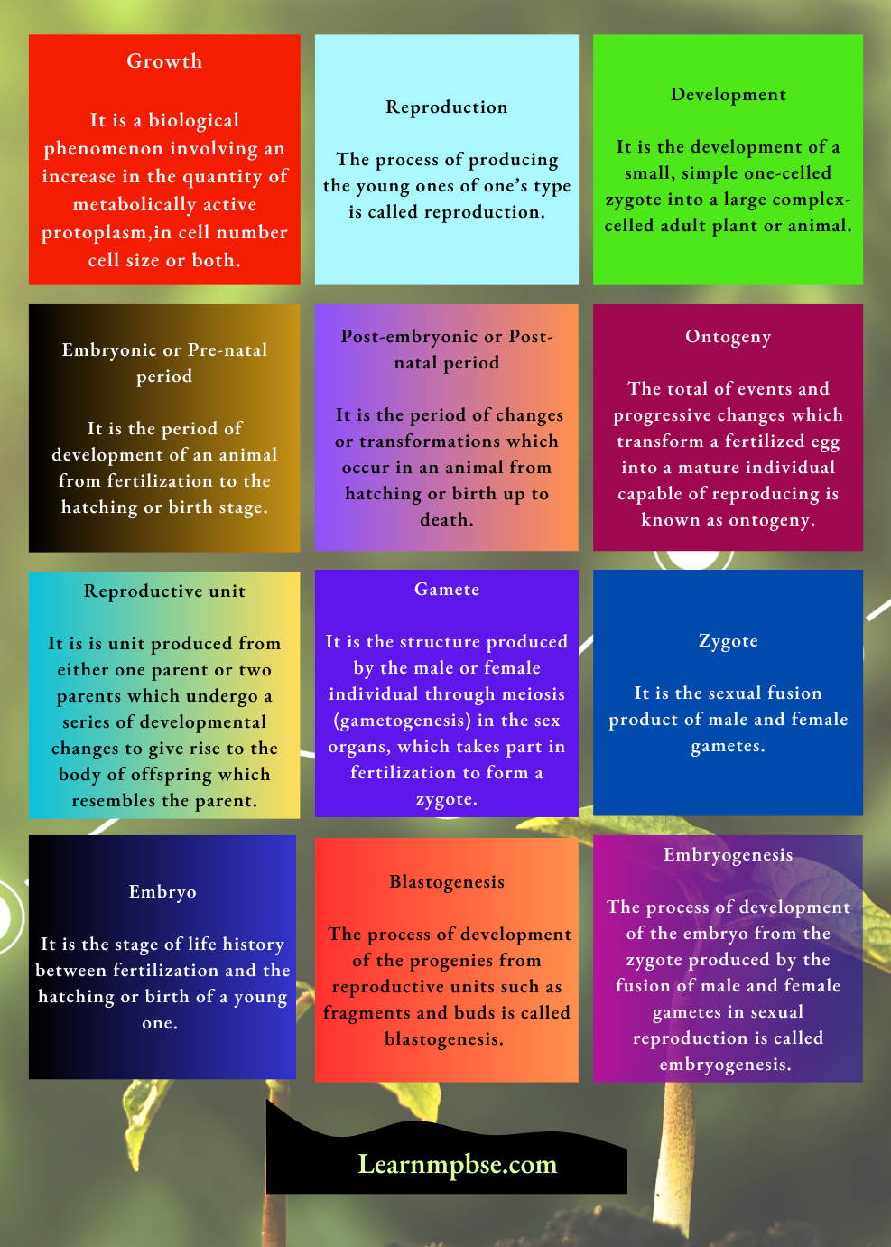 NEET Biology Study Guide Plant Growth and Development