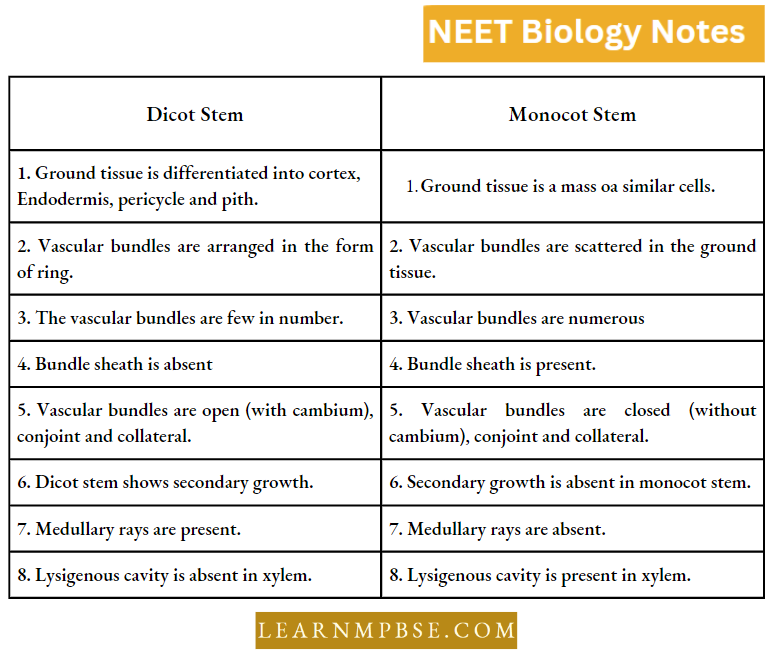 Plant Anatomy Differences Between Monocot And Dicot Stem