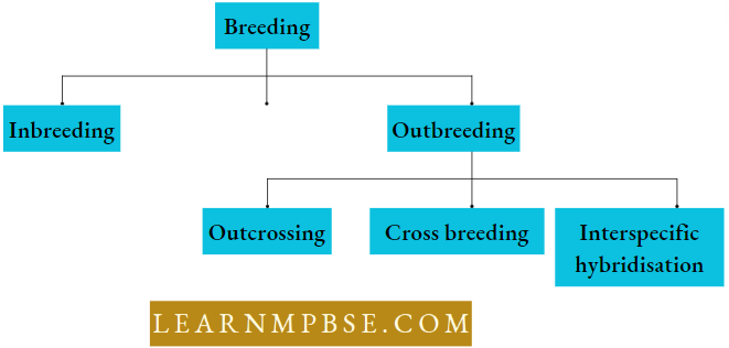 Strategies For Enhancement In Food Production Animal Sources Breeding
