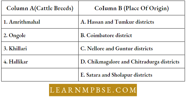 Strategies For Enhancement In Food Production Animal Sources Match The Breeds Of Cattle
