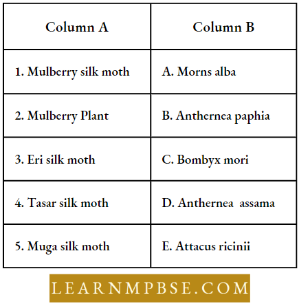Strategies For Enhancement In Food Production Animal Sources Match The Columns With Suitable Terms