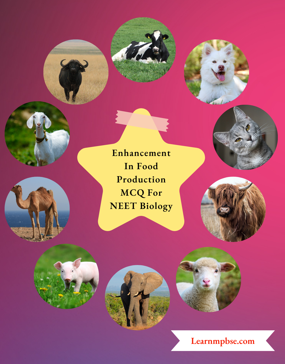 Enhancement In Food Production MCQ For NEET Biology