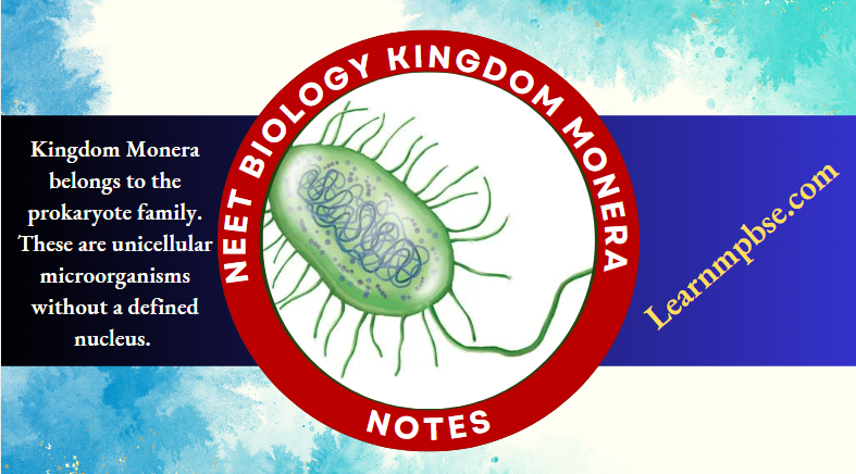 Essential Kingdom Monera Notes for NEET Biology