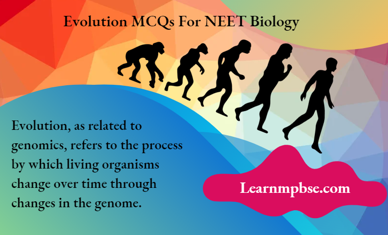 Evolution MCQs For NEET Biology