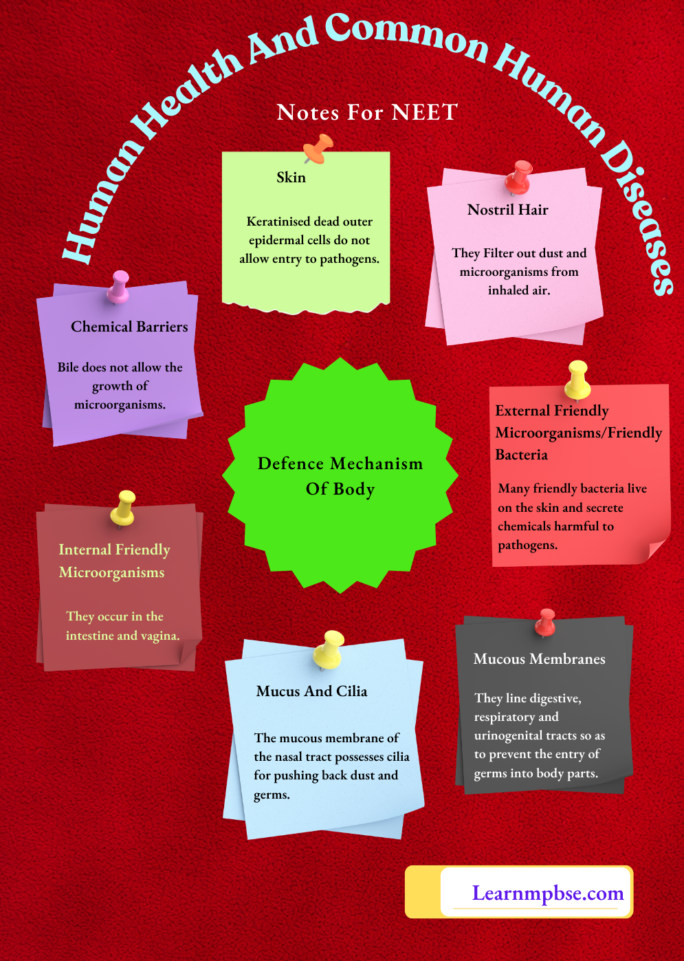 Human Health And Common Human Diseases Notes For NEET