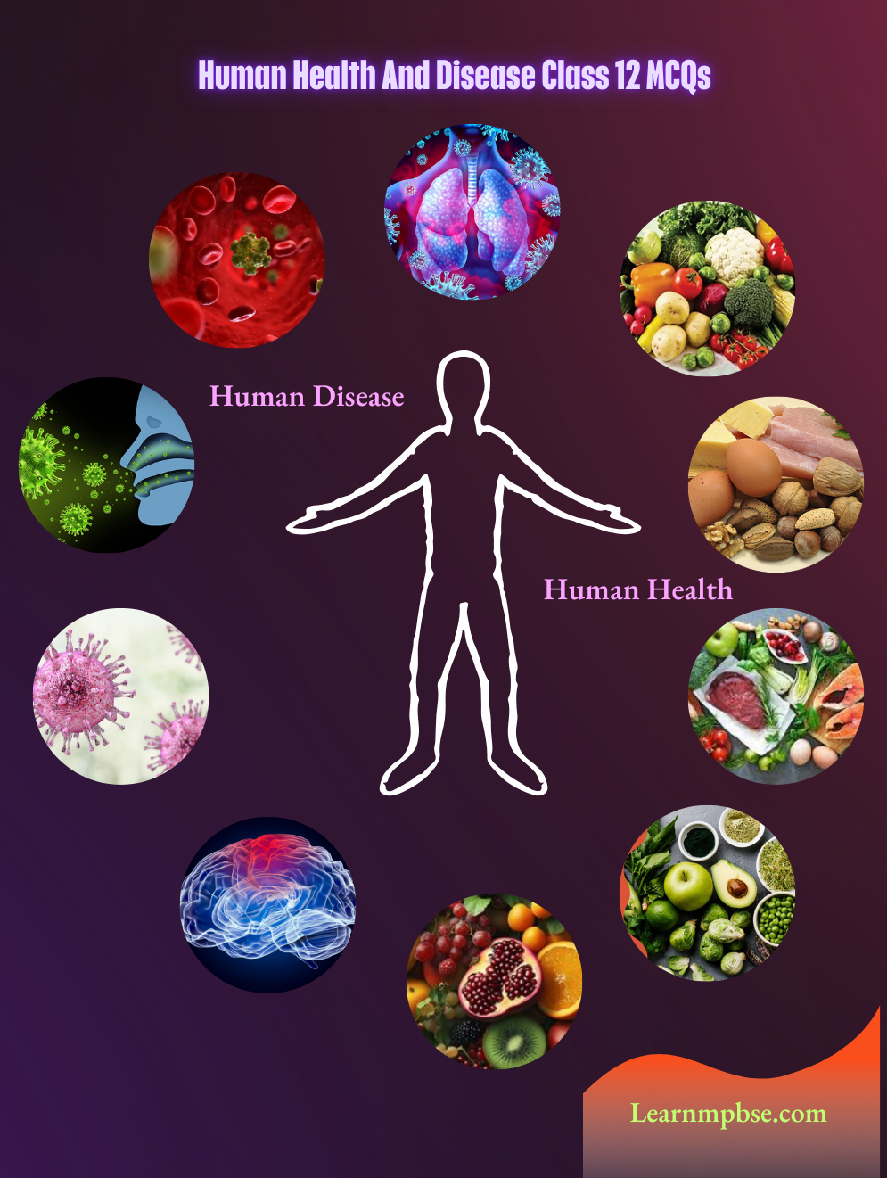 Human Health And Disease Class 12 MCQs
