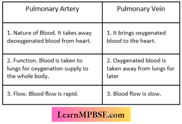 Transportation Difference Between Pulmonary Artery And Pulmonary Vein