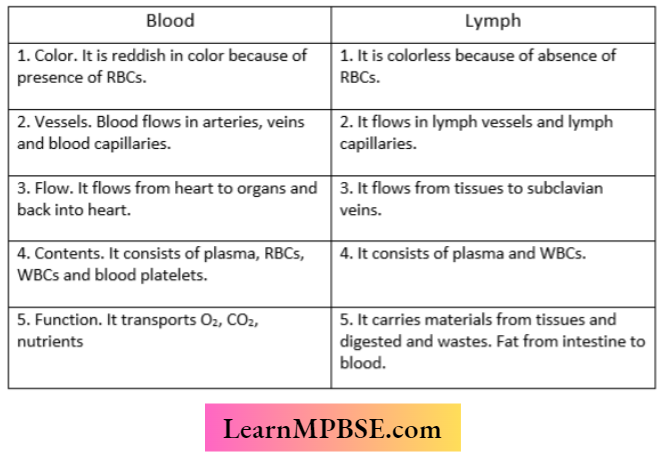Transportation Difference Between The Blood And Lymph