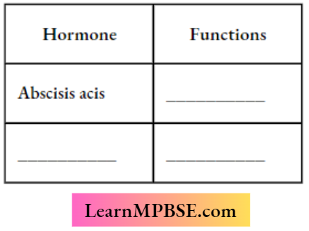Coordination In Plants Harmone And Function
