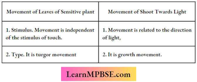 Coordination In Plants The Movement Of Leaves Of Sensitive Plant Different From The Movement Of A Shoot Towards Light