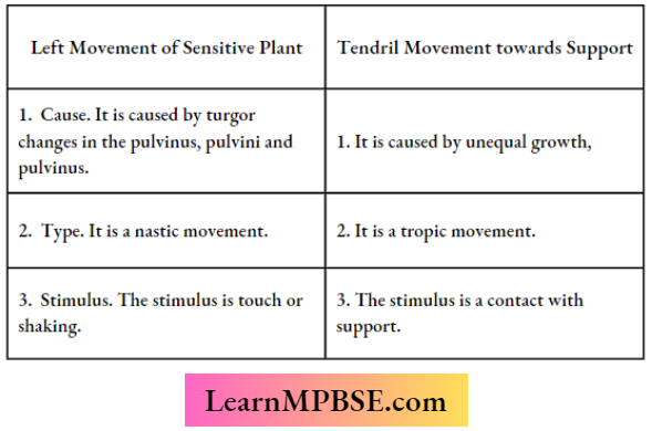 Coordination In Plants The Movement Of Leaves Of Sensitive Plant When Touched And Movement Of Tendril Towards The Support