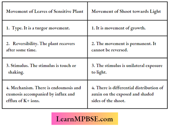 Coordination In Plants movement of leaves of Sensitive Plant Different From Movement Of Shoot Towards Light