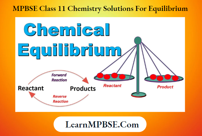 MPBSE Class 11 Chemistry Solutions For Equilibrium