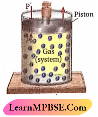 MPBSE Class 11 Chemistry Notes For Thermodynamics Irreversible Expansion Of A Gas